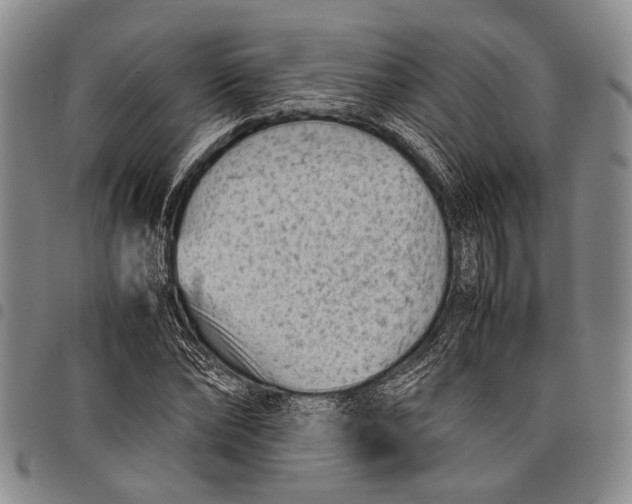 X0000097960878200804141025