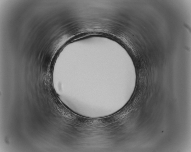 X0000097960879200804141025