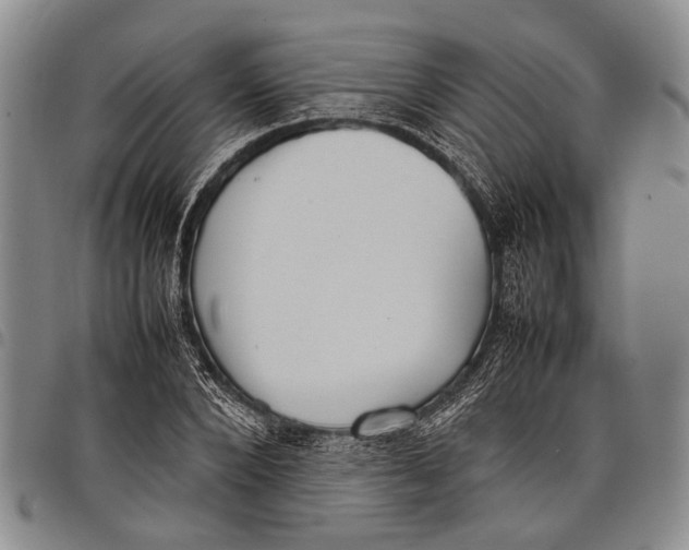 X0000097960880200804141025