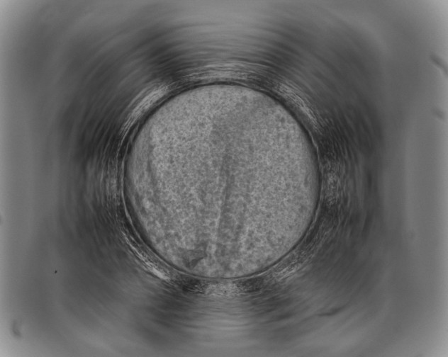 X0000097960882200804141025