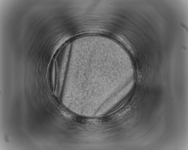 X0000097960883200804141025