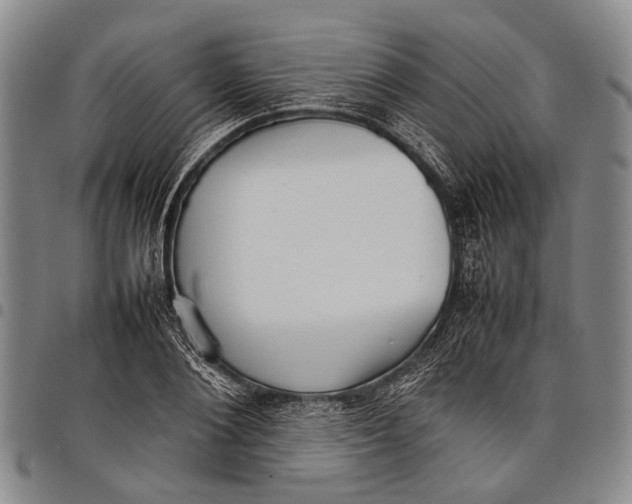 X0000097960884200804141025