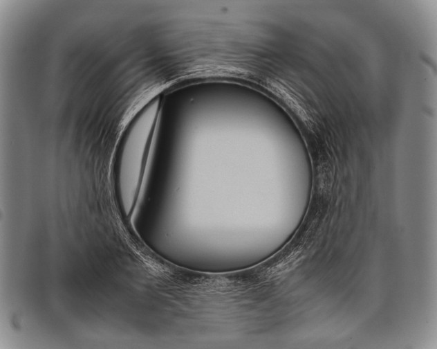X0000097960885200804141025