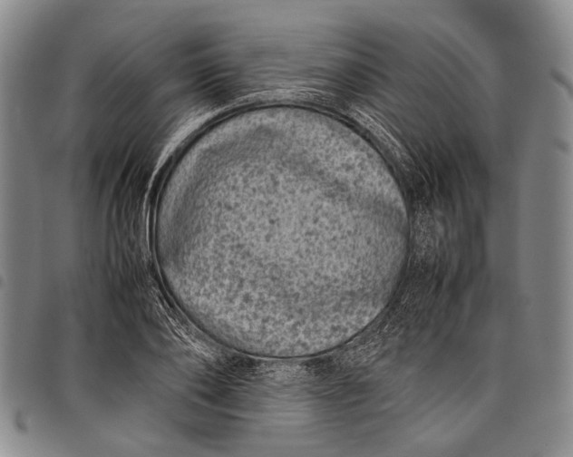 X0000097960886200804141025