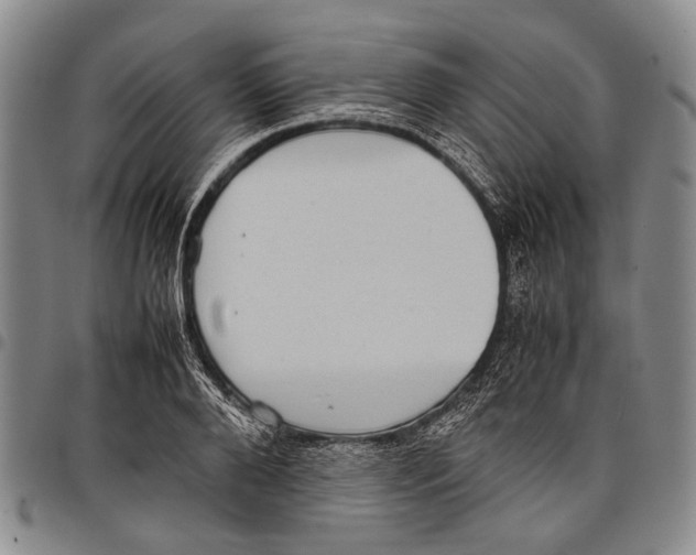 X0000097960888200804141025