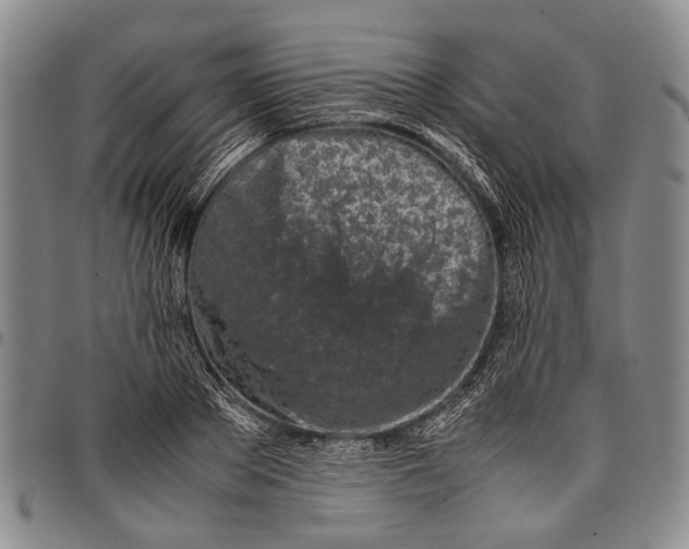 X0000097960889200804141025