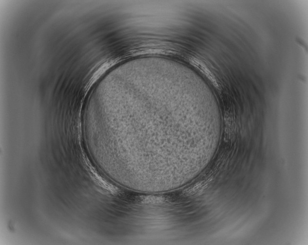 X0000097960890200804141025