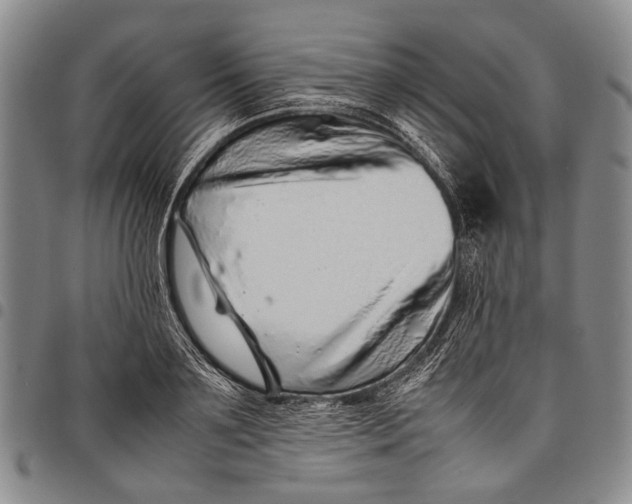 X0000097960891200804141025