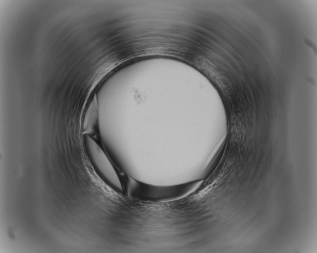 X0000097960892200804141025