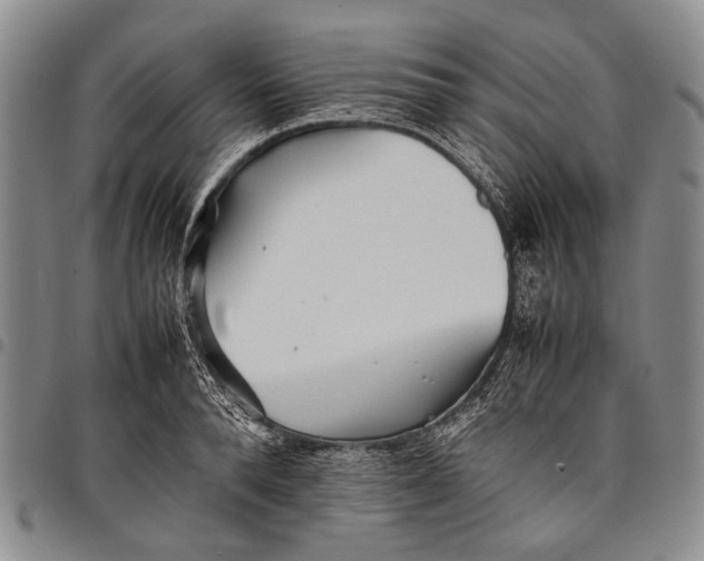 X0000097960896200804141025