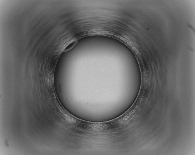 X0000097960897200804141024