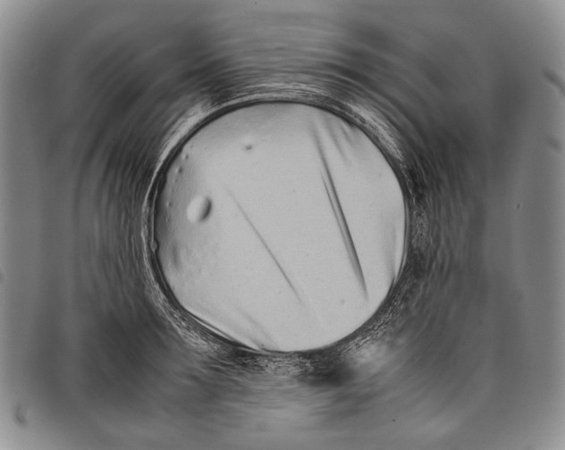 X0000097960899200804141024