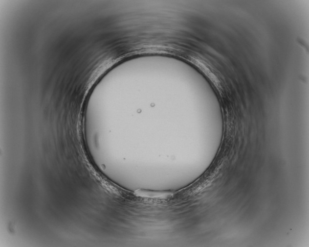 X0000097960901200804141024