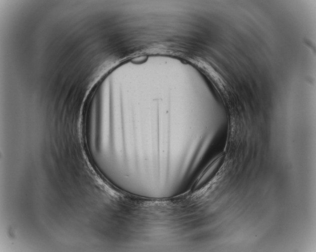 X0000097960902200804141024