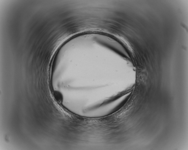 X0000097960903200804141024