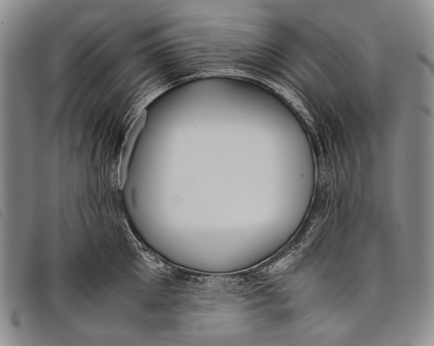 X0000097960905200804141024