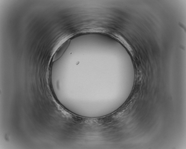 X0000097960909200804141024