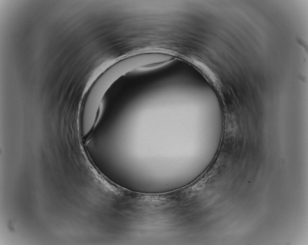 X0000097960910200804141024