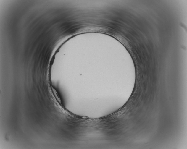 X0000097960912200804141024