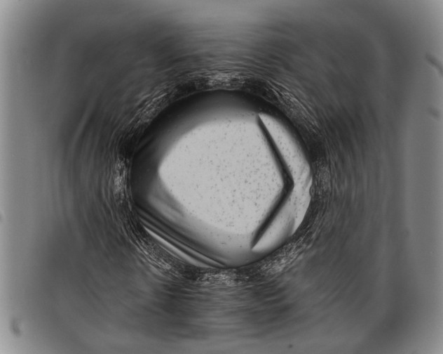 X0000097960914200804141023