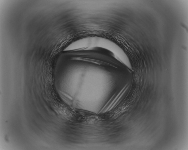 X0000097960916200804141023