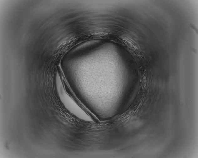 X0000097960917200804141023
