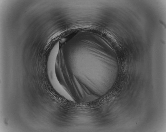 X0000097960920200804141024
