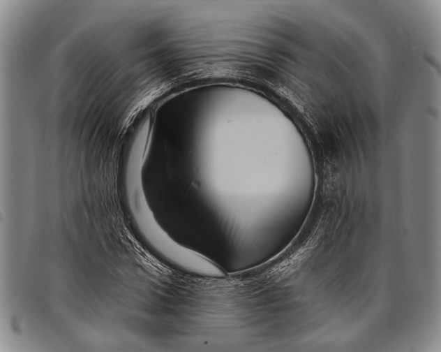 X0000097960922200804141024