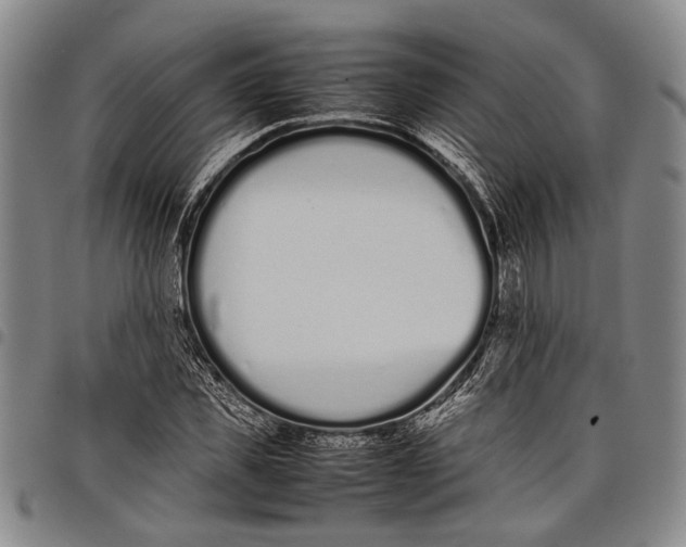 X0000097960925200804141024