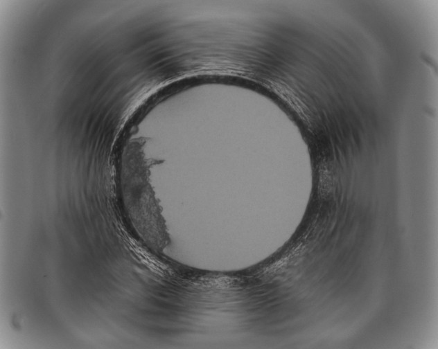 X0000097960926200804141024