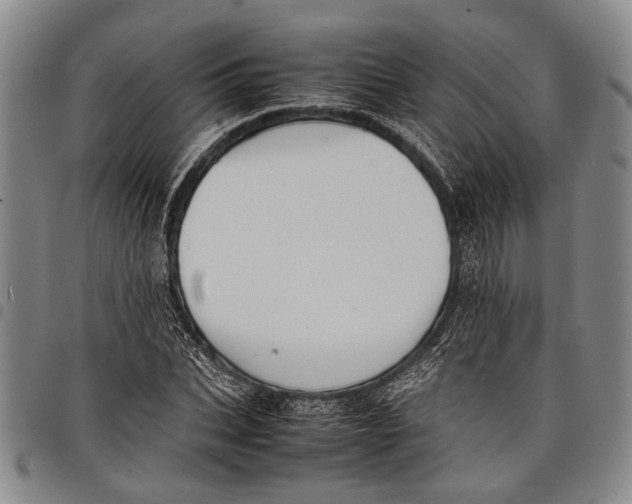 X0000097960927200804141024