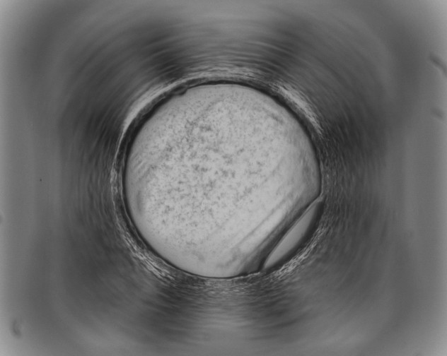 X0000097960928200804141024