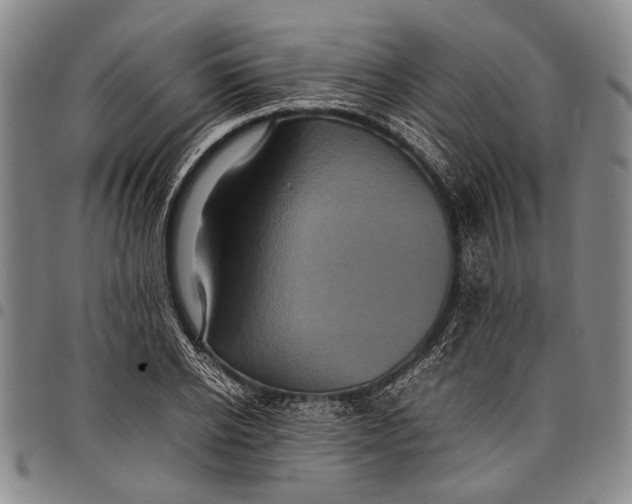 X0000097960934200804141024