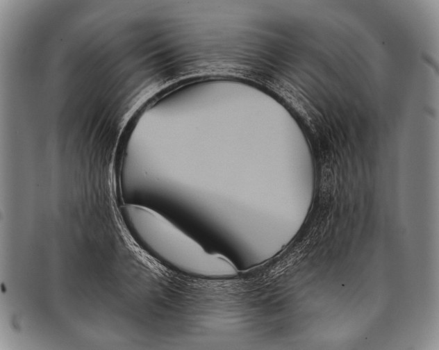 X0000097960936200804141024