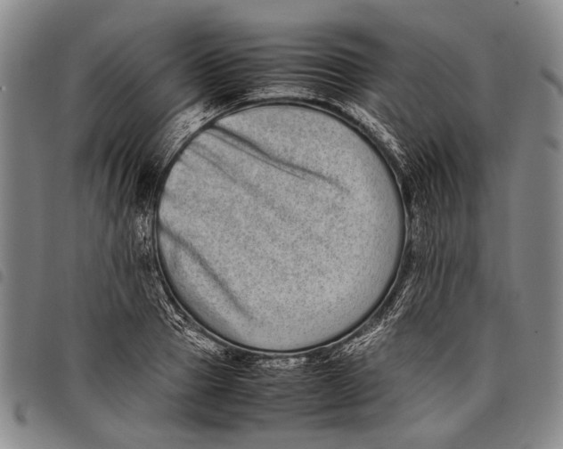 X0000097960937200804141024