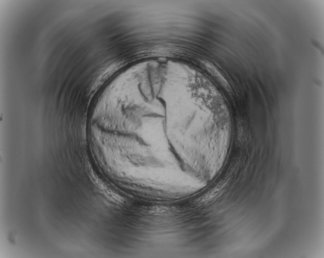 X0000097960938200804141024