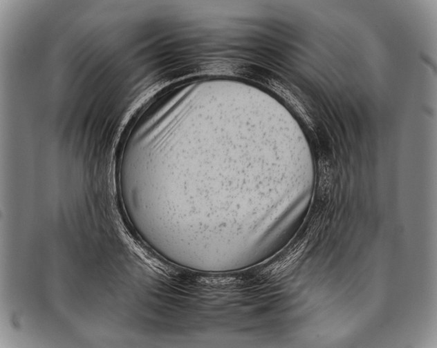 X0000097960939200804141024
