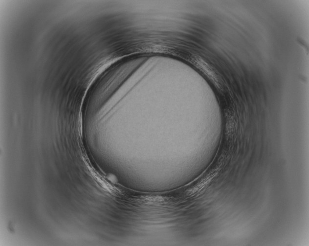 X0000097960940200804141024