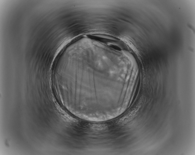 X0000097960941200804141024