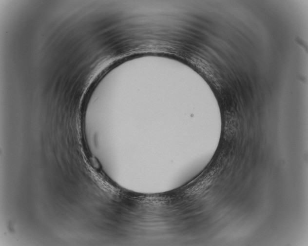 X0000097960942200804141024