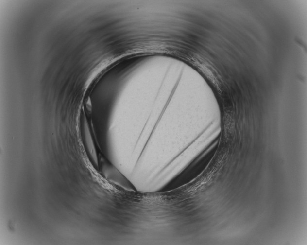 X0000097960944200804141024