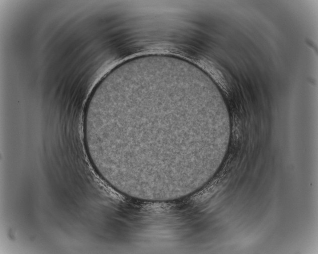 X0000097960950200804141024
