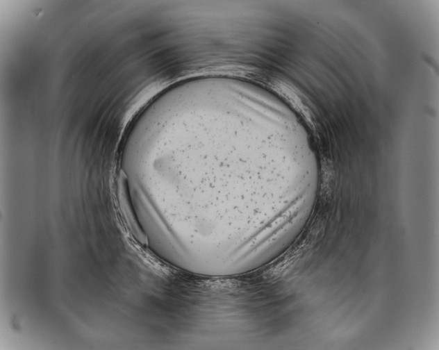 X0000097960952200804141024