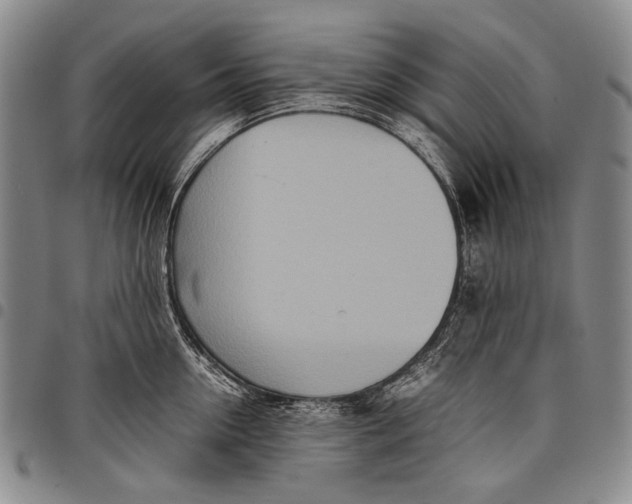 X0000097960954200804141024