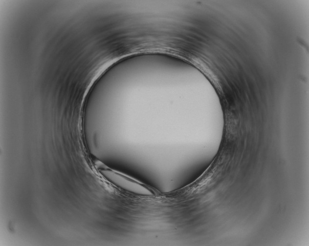 X0000097960956200804141024