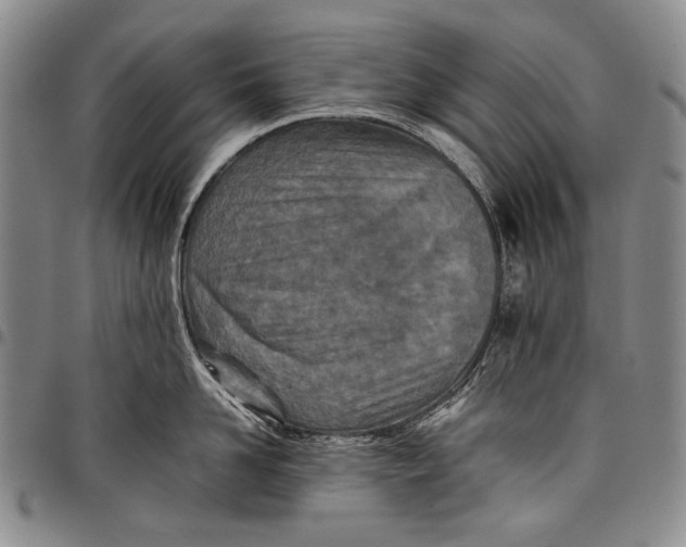X0000097960958200804141024