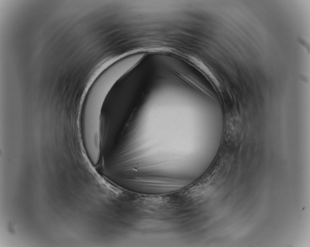 X0000097960959200804141024