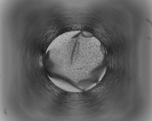 X0000097960962200804141023