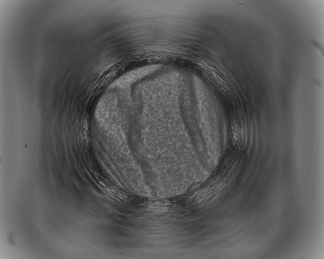 X0000097960964200804141023