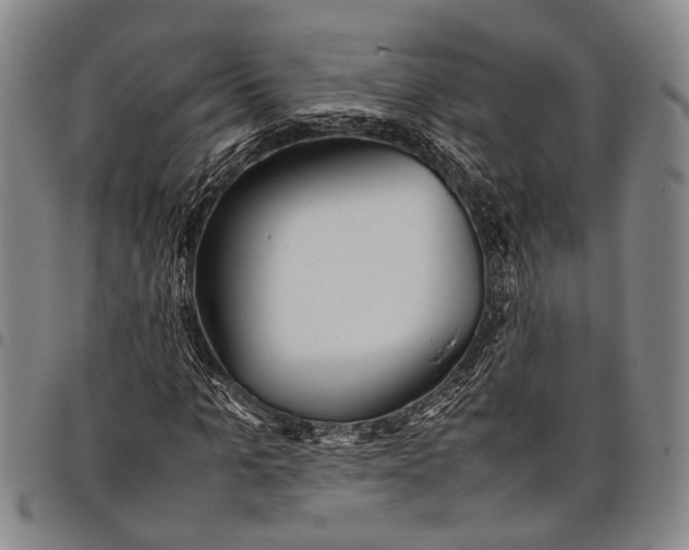 X0000097960965200804141023